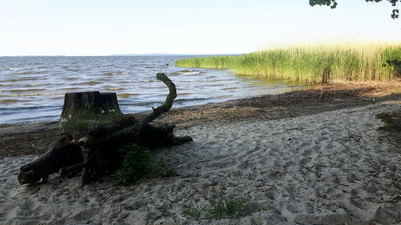 Glamping Podgrodzie Nowe Warpno